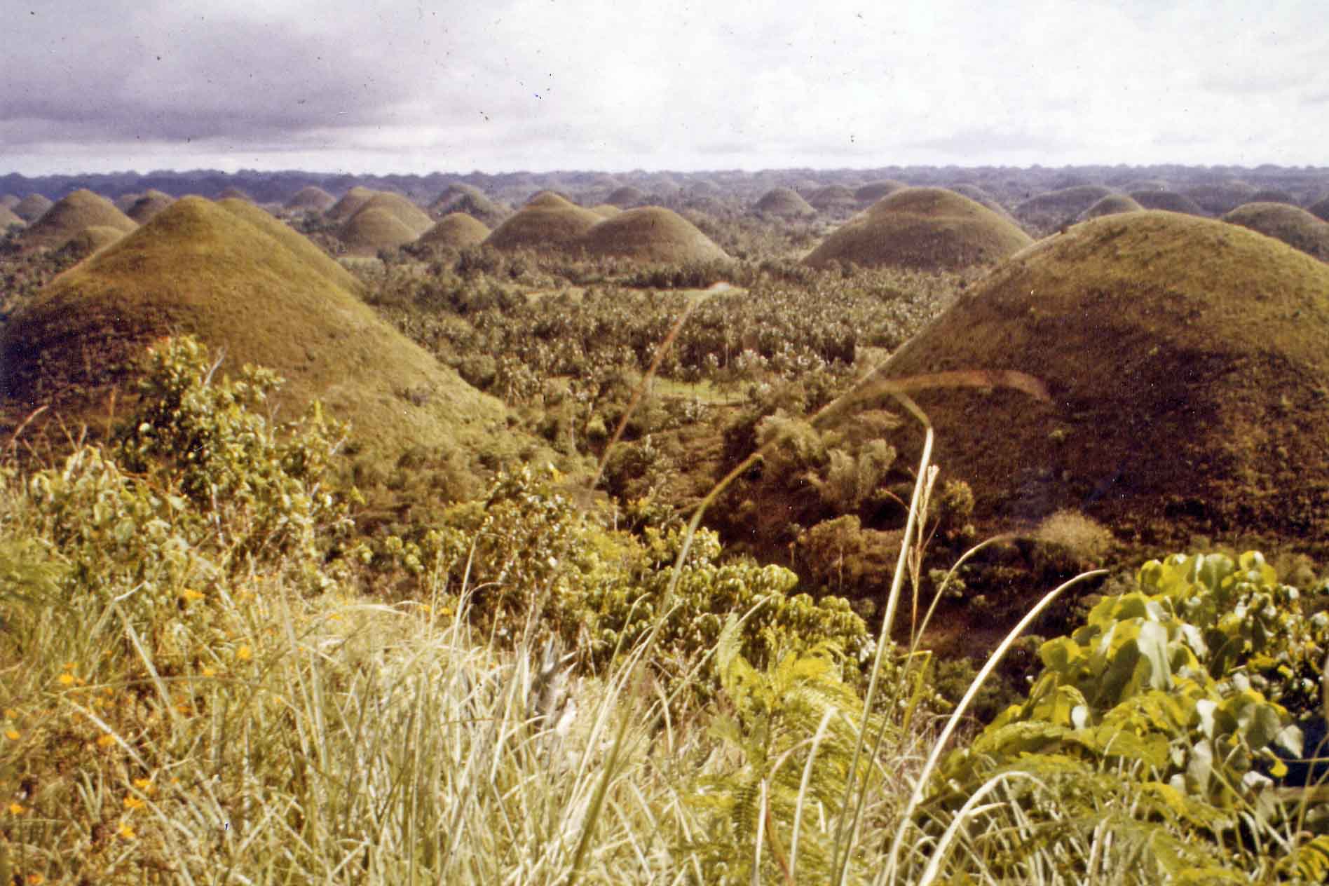 Chocolate Hills Bohol, Philippines
