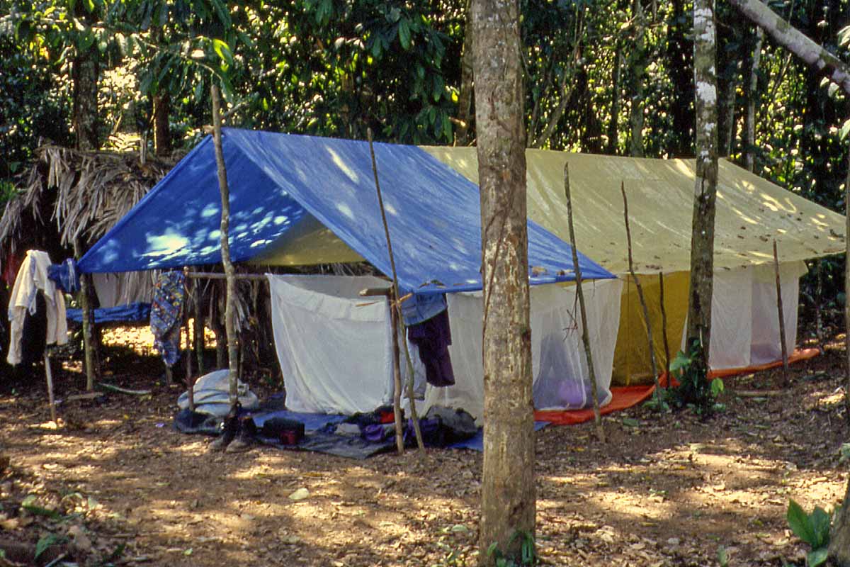 Jungle camp in Peru