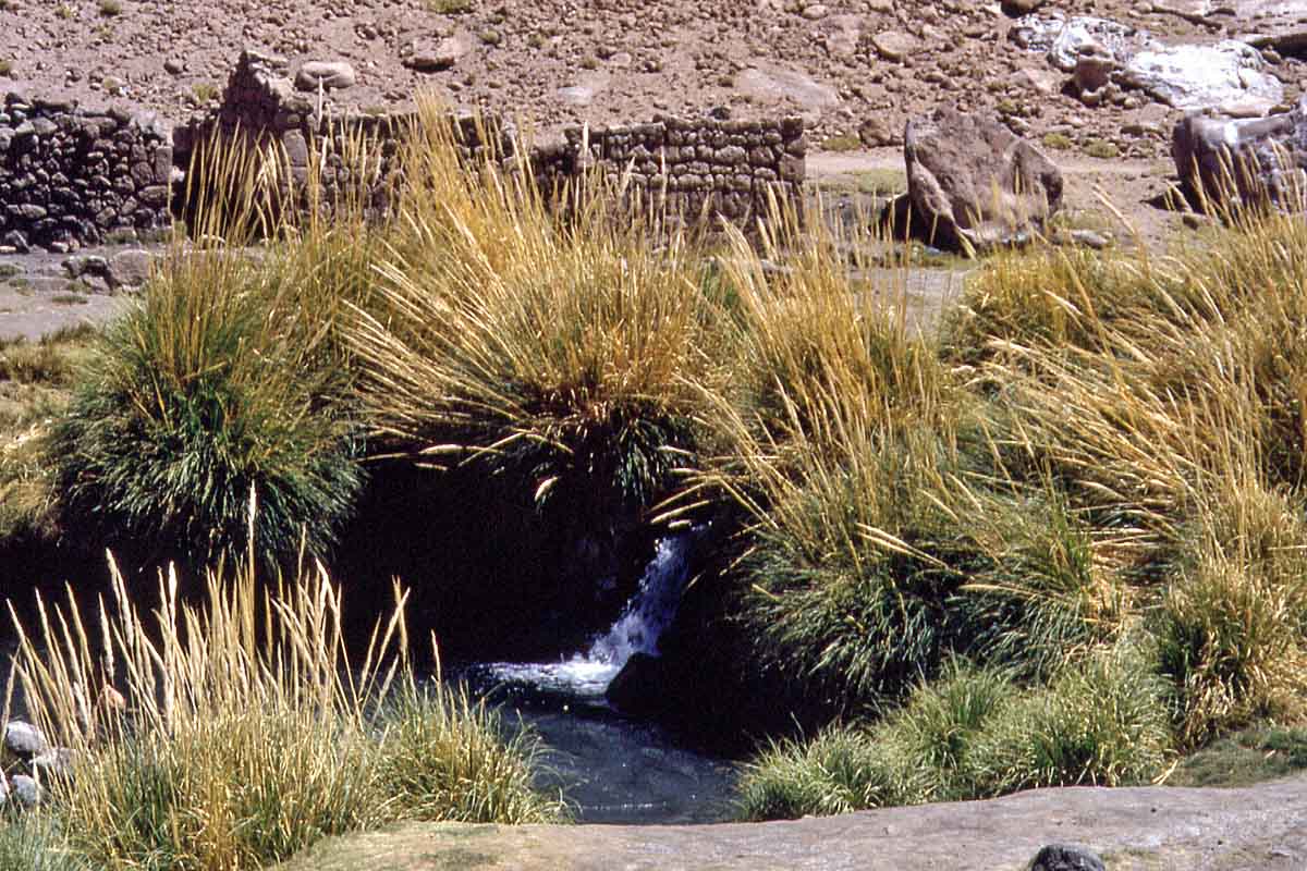 Hot springs San Pedro de Atacama