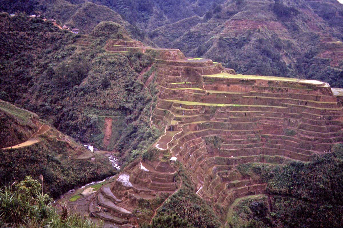 rice terraces philippines
