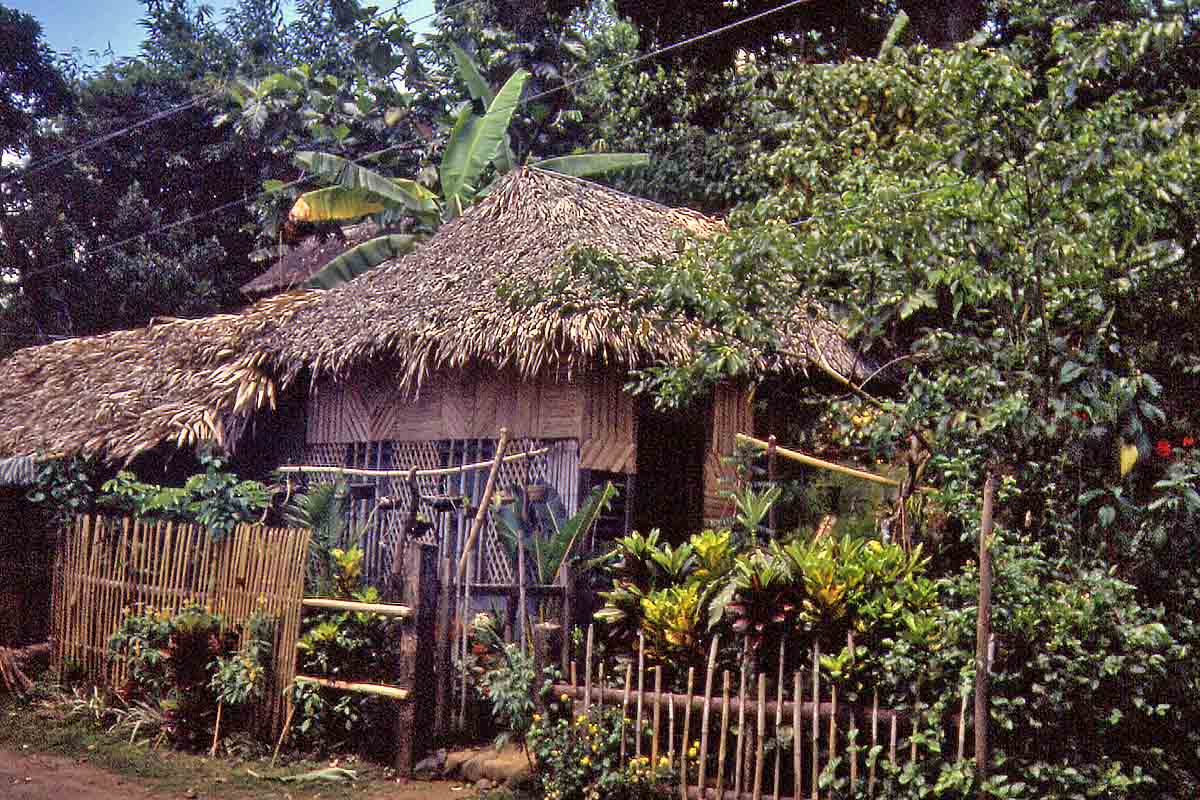 philippine cottage