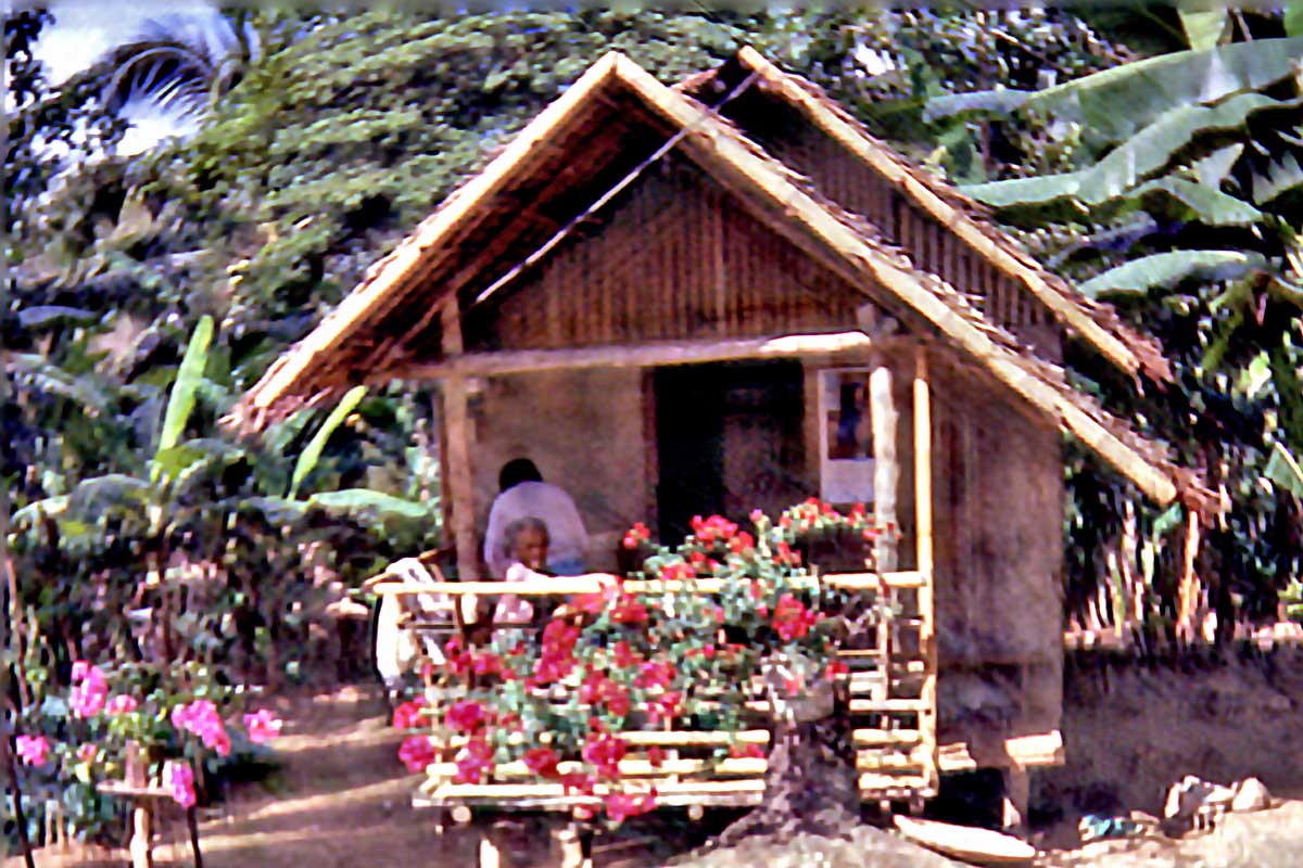 philippine house 1991