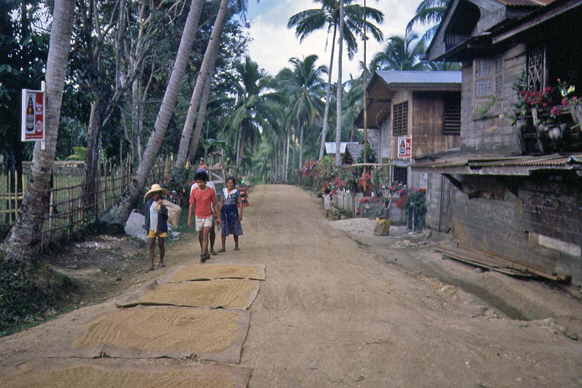 Village on the Philippines
